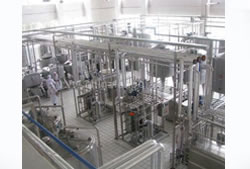 Yoghurt Production Line
